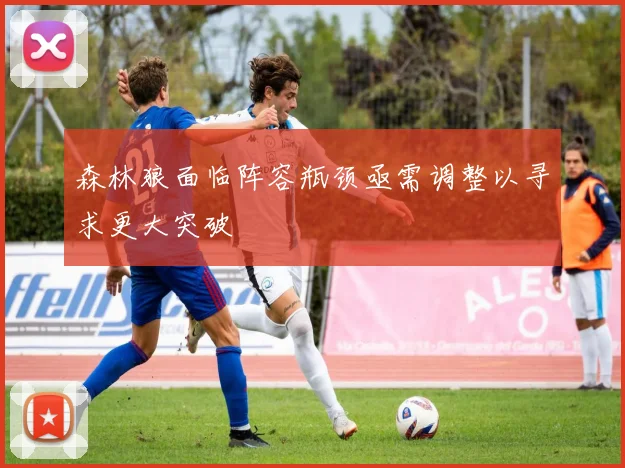 森林狼面临阵容瓶颈亟需调整以寻求更大突破