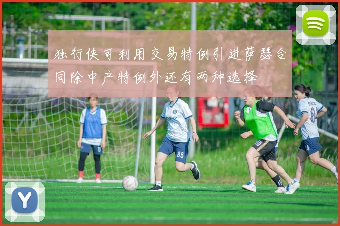 独行侠可利用交易特例引进萨瑟合同除中产特例外还有两种选择